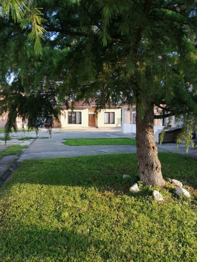 Apartman Studio Katarina Golubac Exteriör bild